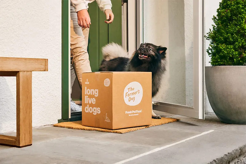 Cutii din carton ondulat cu abonament pentru animale de companie Viral-Ready Unboxing