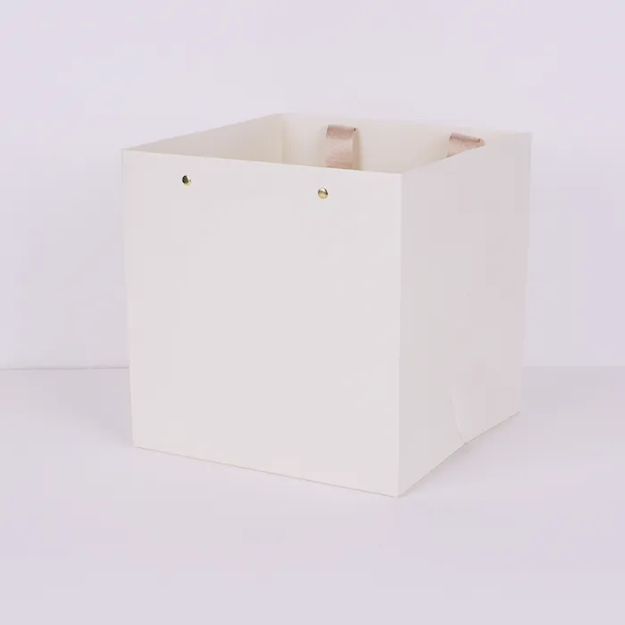 Pungi de hârtie de lux